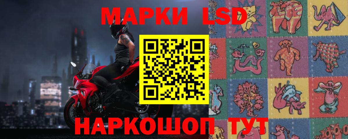 МЕФ Слободской
