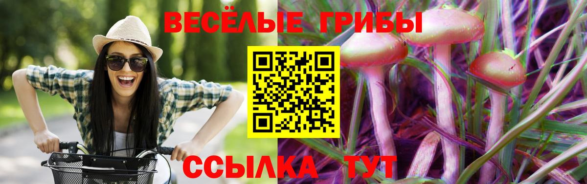 Галлюциногенные грибы Psilocybe Слободской